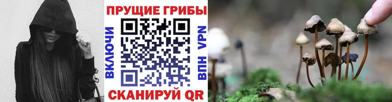 Купить закладки  Верхоянск  Псилоцибиновые грибы прущие грибы 